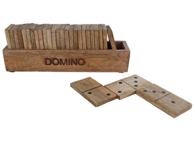 Hovedbilde Spill Domino