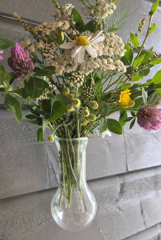 Resirkulert vase medium