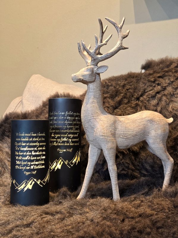 3.vers Nordnorsk julesalme STOR