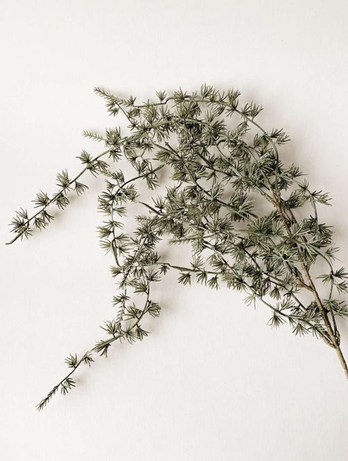 Hovedbilde Gren hengende