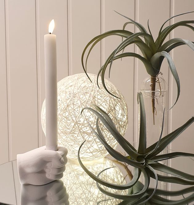 Hovedbilde Airplant