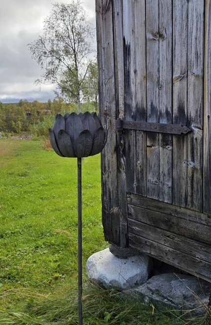 Hovedbilde Fakkelholder blomst