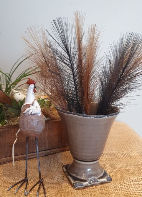 Hovedbilde Fjær brun